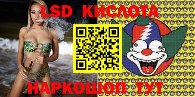 стаф Свободный