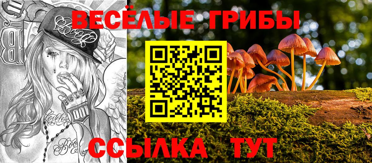 Галлюциногенные грибы Magic Shrooms Рославль